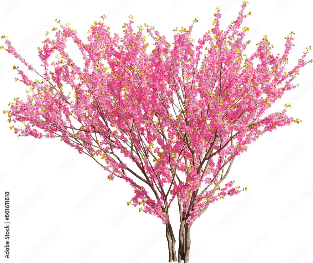 Poster realistic 3d rendering of a tree on transparent background, suitable for architecture visualization,