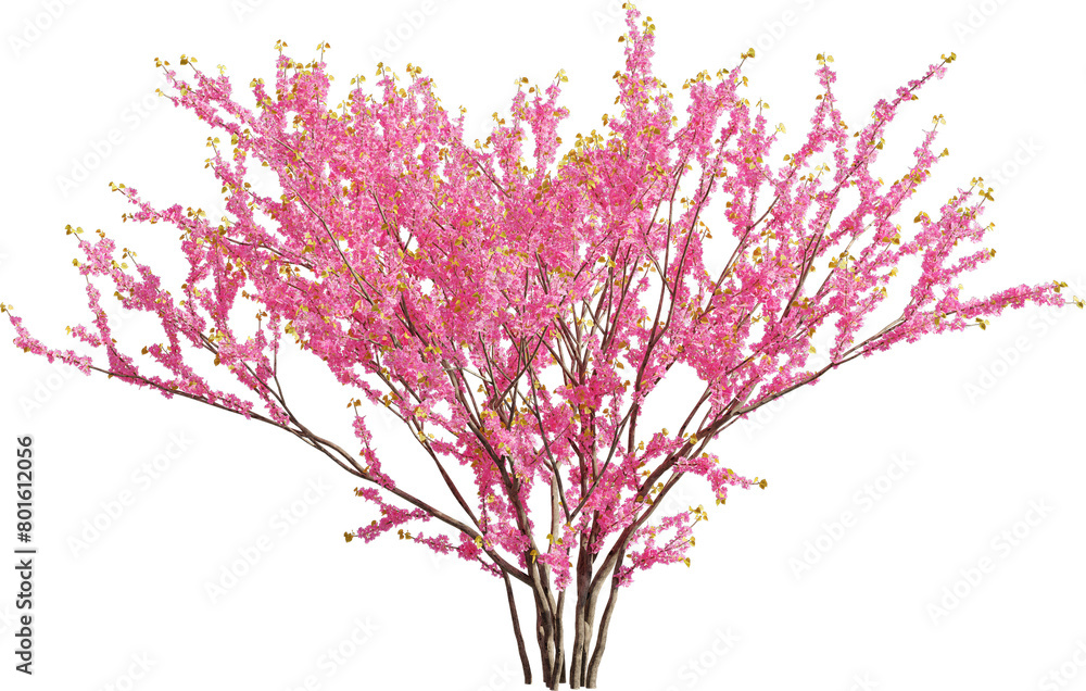 Poster realistic 3d rendering of a tree on transparent background, suitable for architecture visualization,