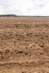 the soil in an agricultural field in cloudy weather