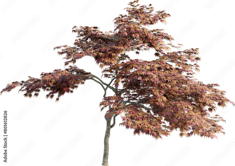 Poster realistic 3d rendering of a tree on transparent background, suitable for architecture visualization,