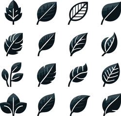 Leaf linear black icons, leaves and branches set. Leaves vector set isolated from background, leaves icons of different shapes in modern flat style.