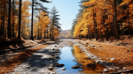 Colorful deciduous forests in the golden season. Autumn charm - obrazy, fototapety, plakaty