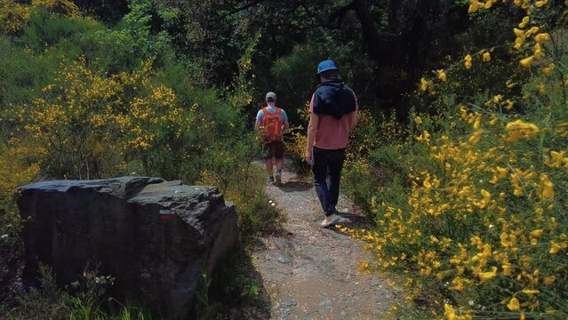 hiking in the woods in Portugal. Summer travel concept, for vlog, YouTube, video