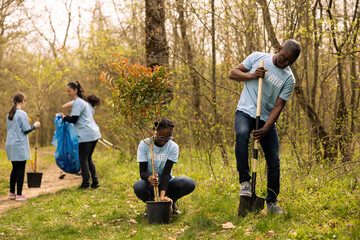 African american ecologic activists planting small trees in a forest, working together in unity to...