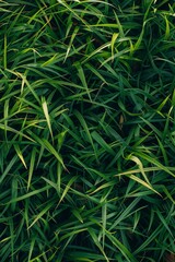 thick green grass in the meadow Generative AI