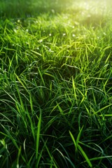 thick green grass in the meadow Generative AI