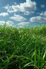 thick green grass in the meadow Generative AI