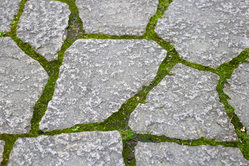 Stone block walk path in the park