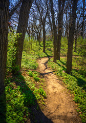 Forest Tree Hill Spring Landscape at Tuthill Park in Sioux Falls, Minnehaha County, South Dakota, the Upper Midwest of America