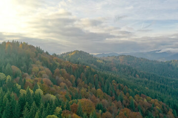 Aerial view of beautiful mountain landscape with forest at sunrise