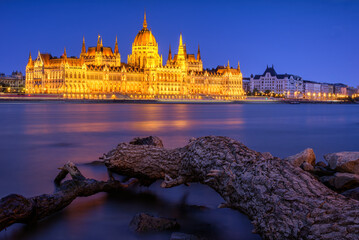 Long exposure shot of the illuminated Hungarian Parliament with the Danube River and a tree trunk...