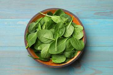 Fresh spinach leaves in bowl on light blue wooden table, top view