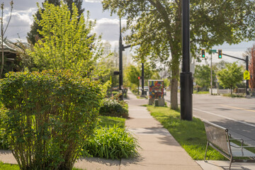 Walking Down Sidewalk Neighborhood Street Spring Time