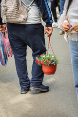 Rear view of man with a hanging basket of petunia flowers for the garden. Gardening, spring, hobby...