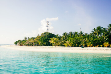 amazing tropical island with palm trees