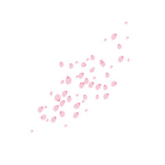 Sakura petals illustration 