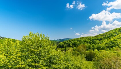 spring landscape with soft lighting showcasing green leaves and blue sky
