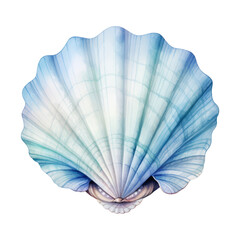 Seashell Isolated Detailed Watercolor Hand Drawn Painting Illustration