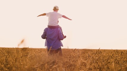 Happy child boy sitting on father shoulders with open hands walking at sunny dry wheat field back...