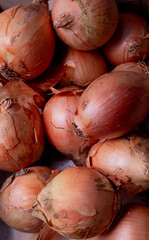 A bunch of onions are piled up in a pile. The onions are all different sizes and are all brown