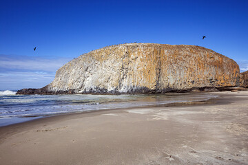Seal Rock State Park sand beach and volcanic mound with sea birds fling against a blue sky on the...