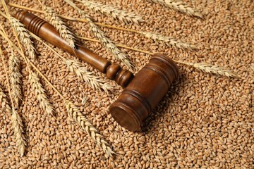 Wooden gavel and wheat ears on grains. Agricultural deal