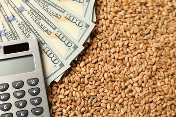 Dollar banknotes and calculator on wheat grains, closeup. Agricultural business