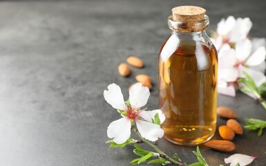 Almond oil in bottle, flowers and nuts on grey textured table, closeup. Space for text