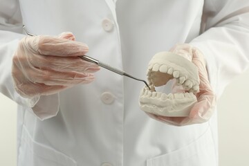 Doctor holding dental model with jaws and tool on white background, closeup. Cast of teeth