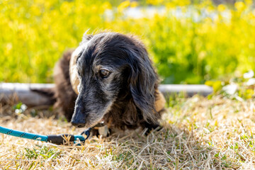 20240501 upload
