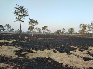 traces of burning