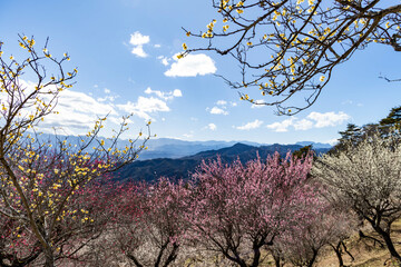 20240501 upload