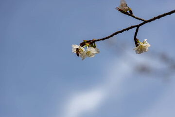 20240501 upload