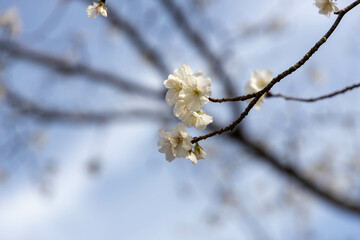 20240501 upload