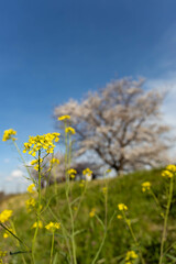 Fototapeta premium 20240501 upload