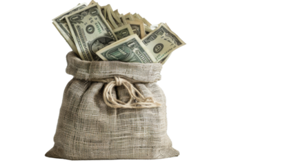 Dollar Bills in a full bag