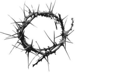 Crown of Thorns