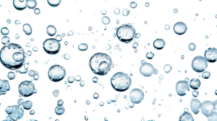 Bubbles in water  transparent background