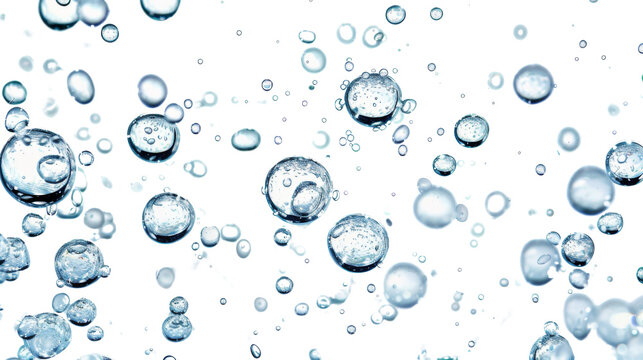 Bubbles in water  transparent background
