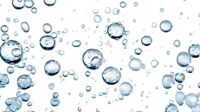 Bubbles in water  transparent background