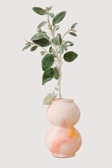 Green plant in aesthetic vase, brachyglottis branch