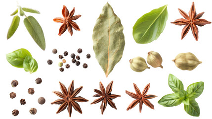 Bay leaf ,spices, cilantro, coriander, fennel, basil, carnation, star anise