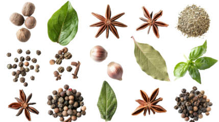 Bay leaf ,spices, cilantro, coriander, fennel, basil, carnation, star anise