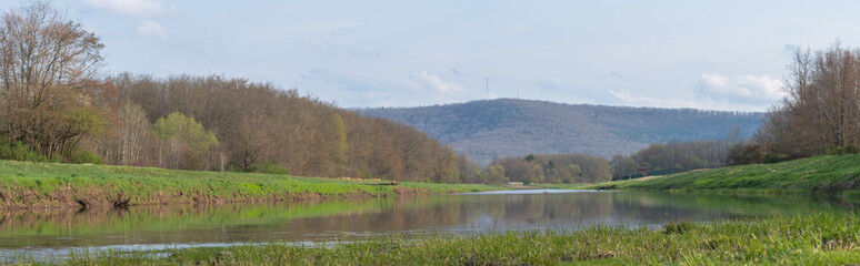 River park fresh spring bloom, panoramic image, copy space natural background, fresh bloom