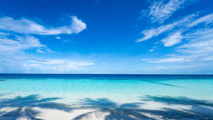 White sand, blue sky and sea, palm trees shadow on maldives beach