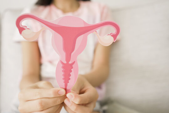Preteen girl hands holding uterus, tween puberty health, first period concept