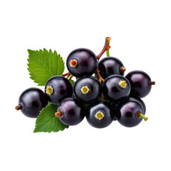 Fototapeta premium Blackcurrant black currant cassis isolated on transparent background