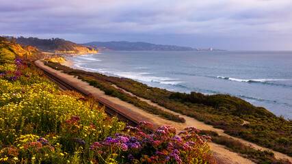 The sunset at the Terry pine beach