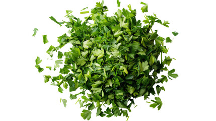 Obraz premium Dry parsley leaves