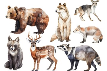 Watercolor Illustrated Safari Animal Set Including Brown Bear, Wolf, Deer, Badger, and Squirrel
